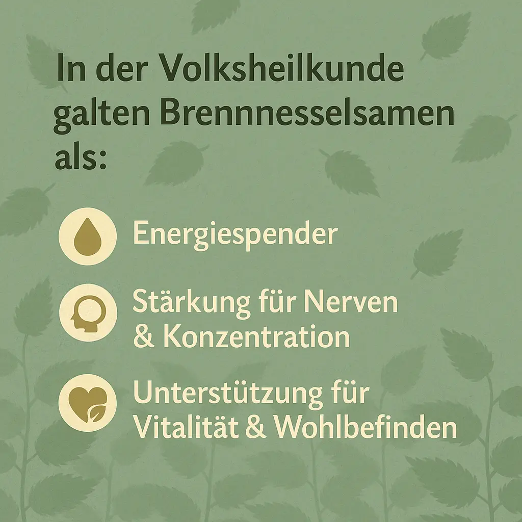 Illustration mit Symbolen – Energie, Konzentration, Vitalität durch Brennnesselsamen.