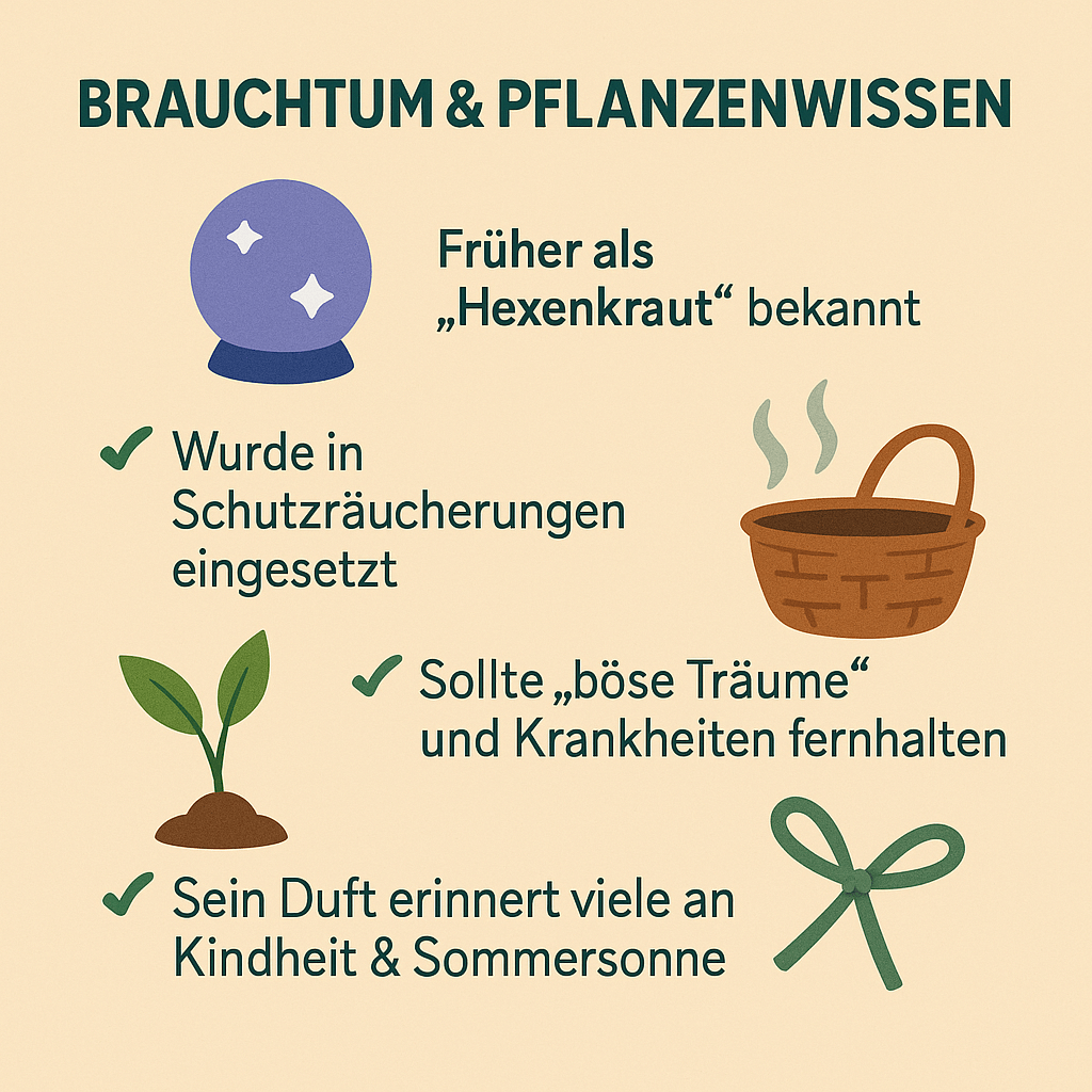 Colastrauch in altem Brauchtum – Hexenkraut, Schutzpflanze und Räucherkraut
