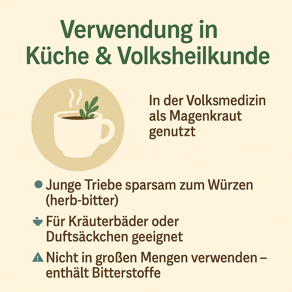 Verwendung des Colastrauchs – als Magenkraut, Duftkraut und zum Würzen geeignet