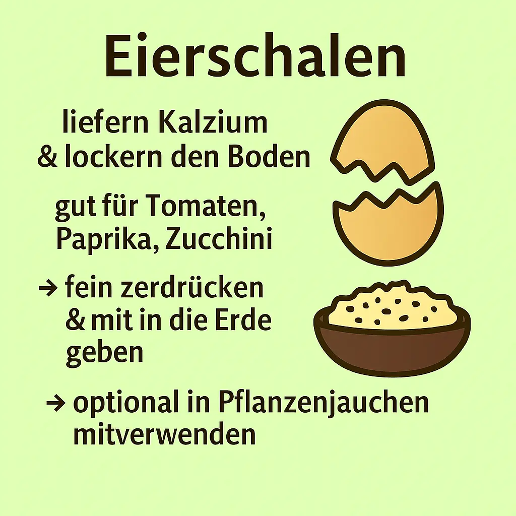 Zerkleinerte Eierschalen als natürlicher Kalziumdünger.