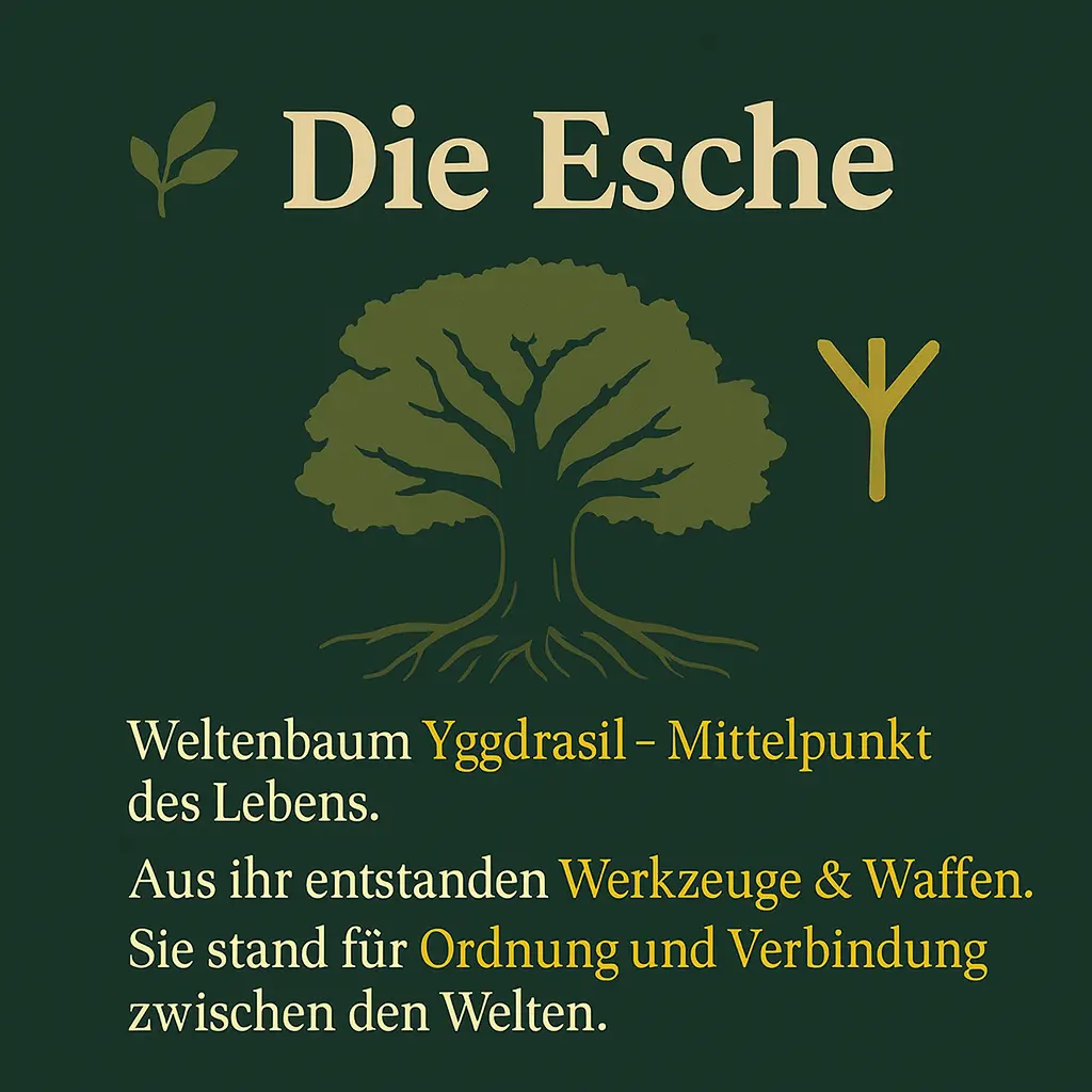 Eschenbaum mit Runenzeichen – Symbol für Yggdrasil, den Weltenbaum.