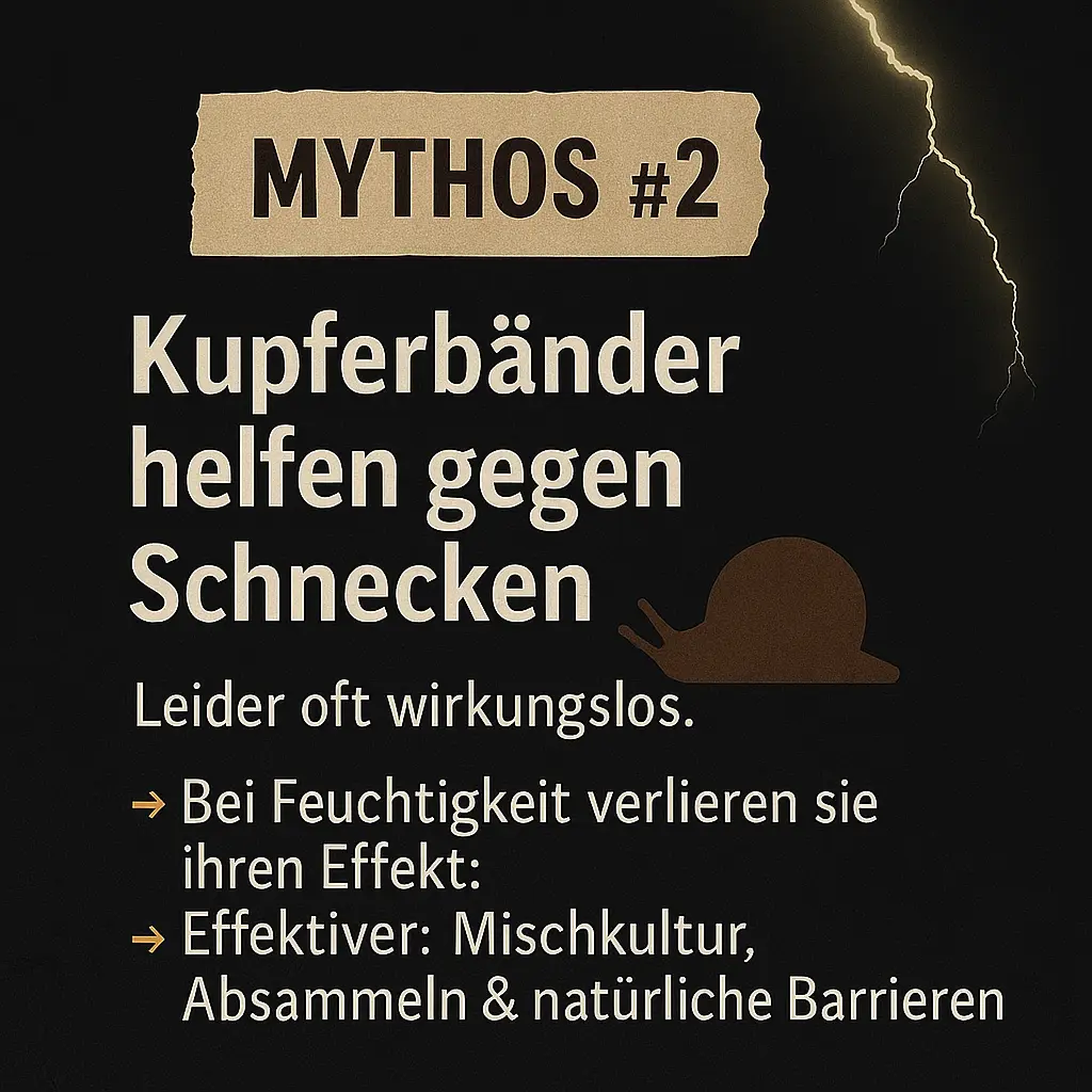 Grafik mit Schnecke und Text über den Mythos Kupferband im Garten.