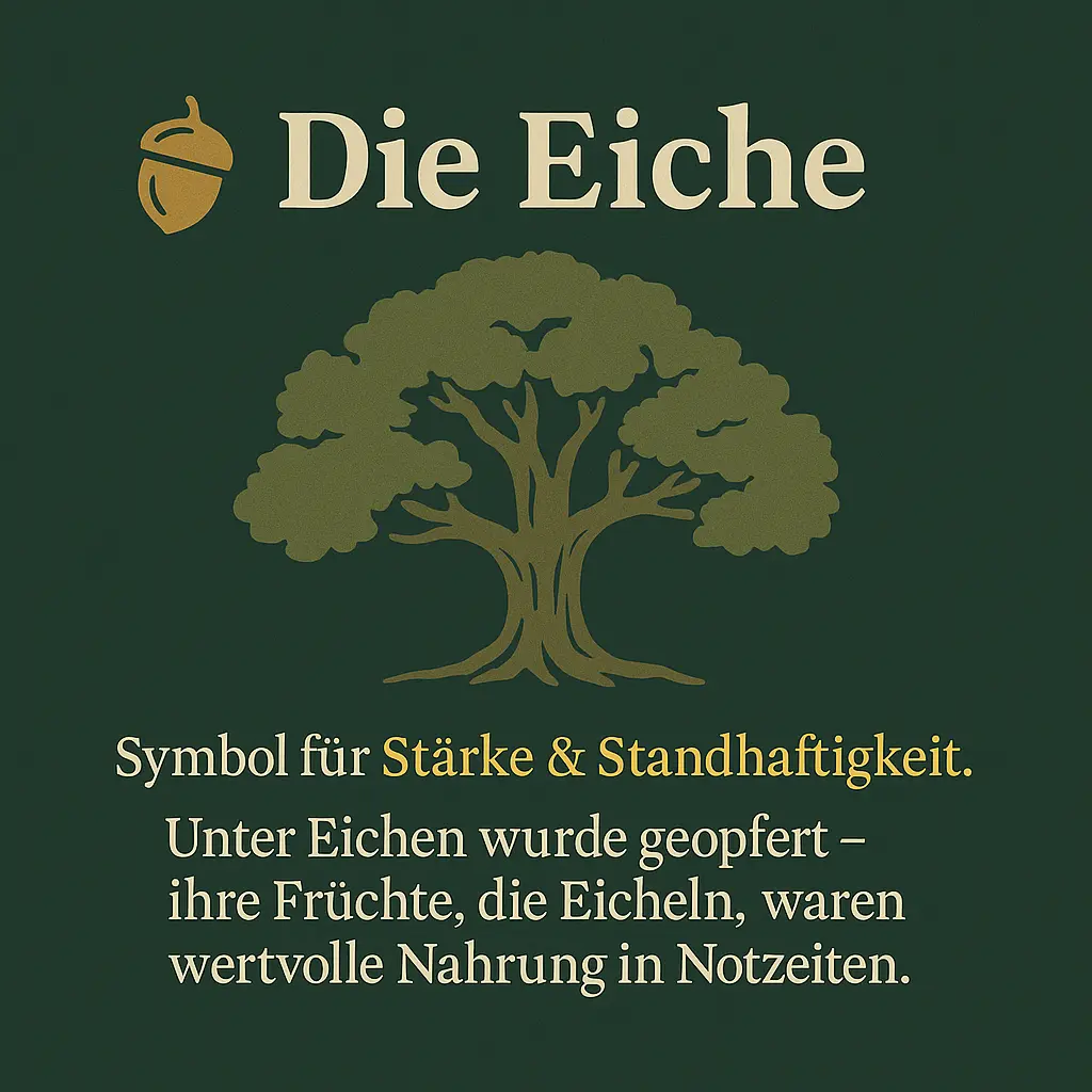 Eichenbaum mit ausladender Krone – Symbol der Standhaftigkeit.
