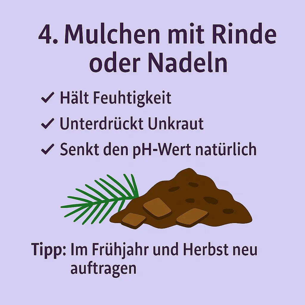 Rindenmulch und Nadeln auf Erde – Symbol für natürliches Mulchen.