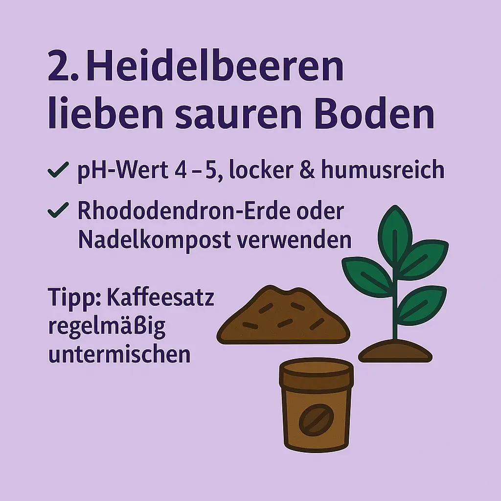 Illustration mit Pflanze, Erde und Kaffeetasse – Symbol für sauren Boden.