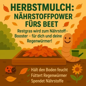 Beet mit Herbstmulch und Regenwurm im Herbstgarten.