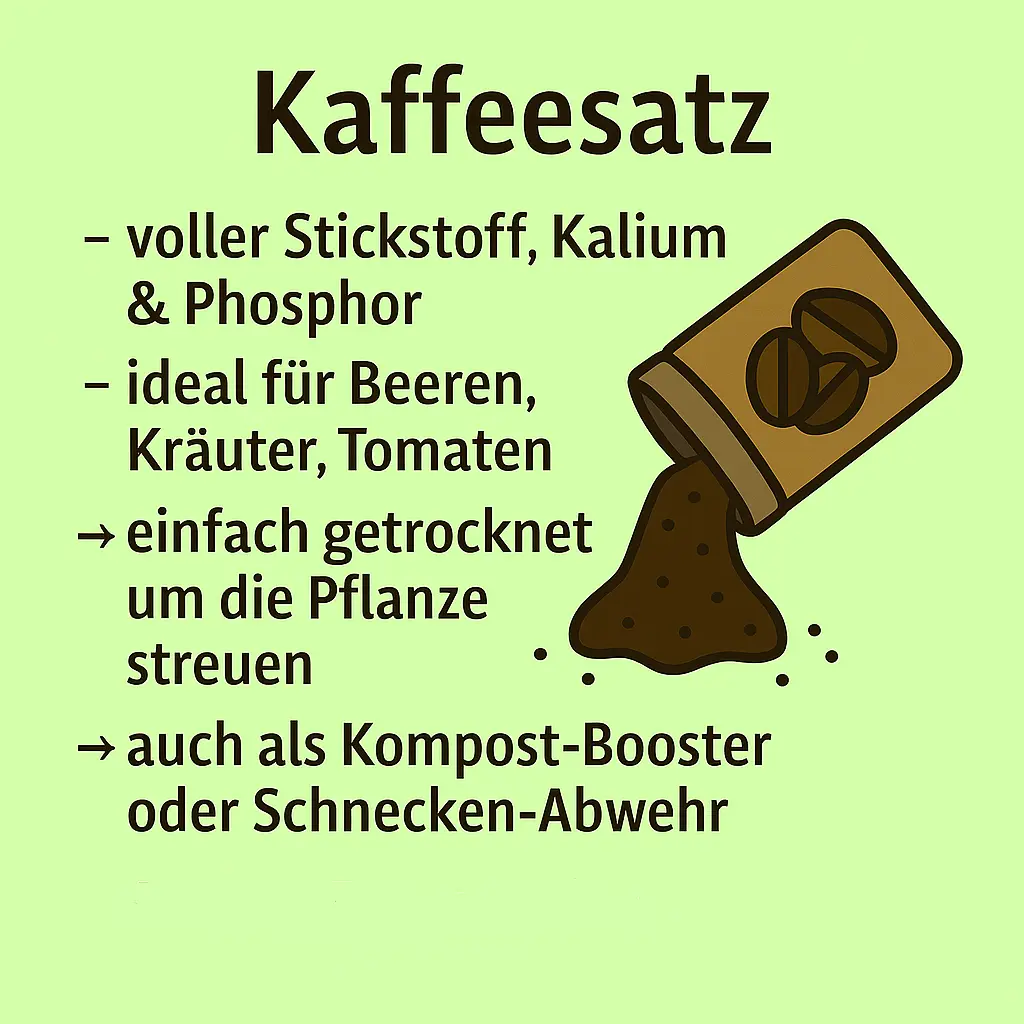 Kaffeesatz als natürlicher Dünger im Garten.