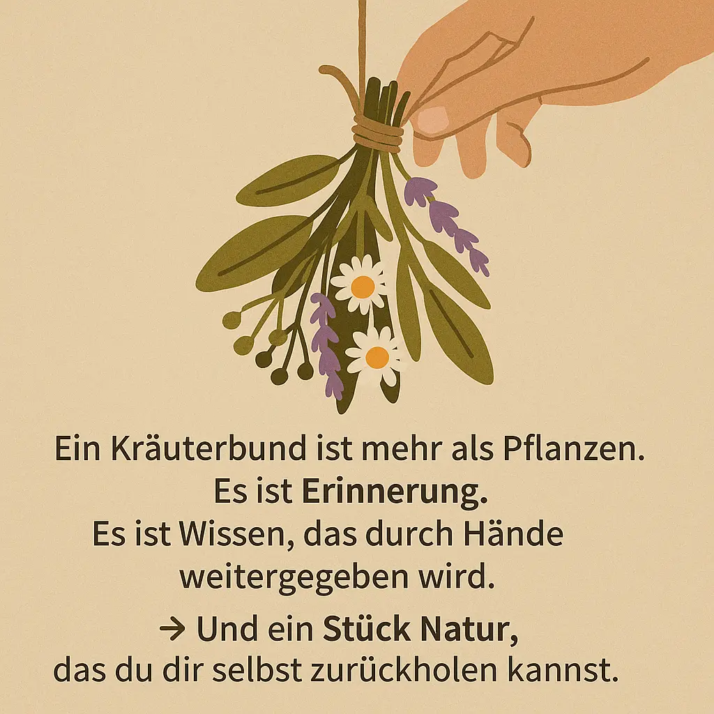 Hand hält einen Kräuterbund mit Kamillenblüten und Lavendel.