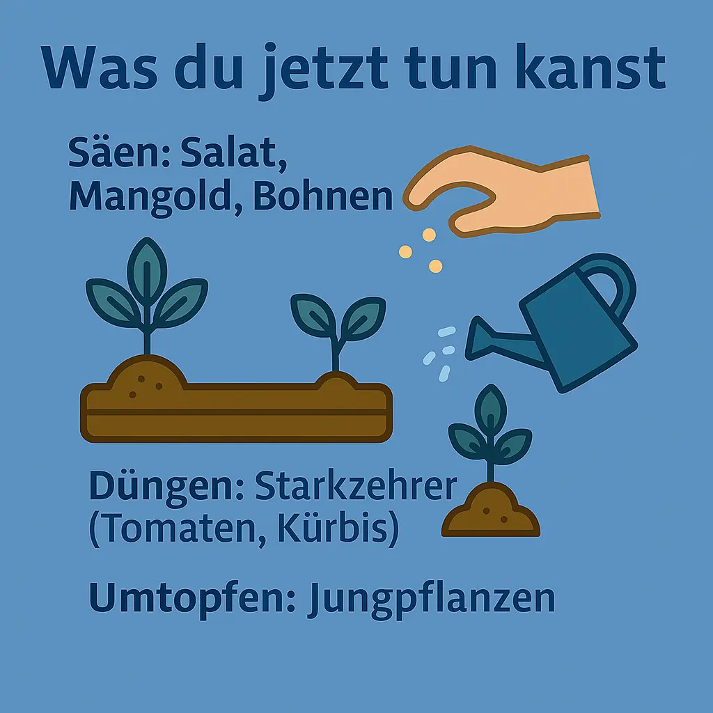 Gärtner gießt und sät Jungpflanzen im Mai.