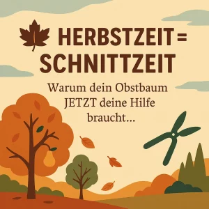 Obstbaum mit herbstlichen Blättern und Gartenschere – Symbol für Herbstschnitt.