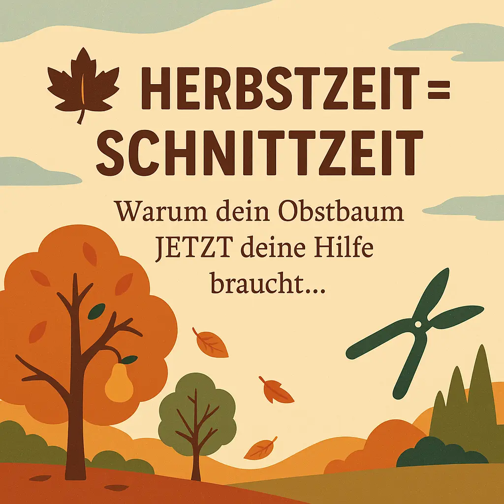 Obstbaum mit herbstlichen Blättern und Gartenschere – Symbol für Herbstschnitt.