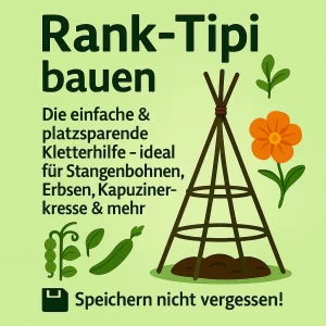 Rank Tipi bauen - Illustration eines Rank-Tipis aus Ästen mit Pflanzen – Anleitung für platzsparendes vertikales Gärtnern.