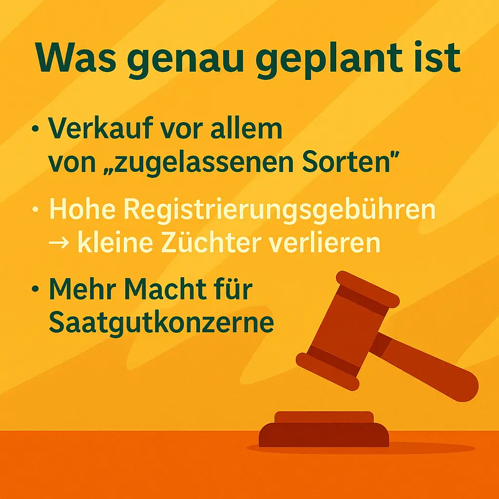 Richterhammer symbolisiert geplante EU-Saatgutgesetze und strengere Zulassungen.