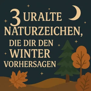 Herbstlandschaft mit Bäumen, Mond und Laub – Symbol für alte Naturzeichen.