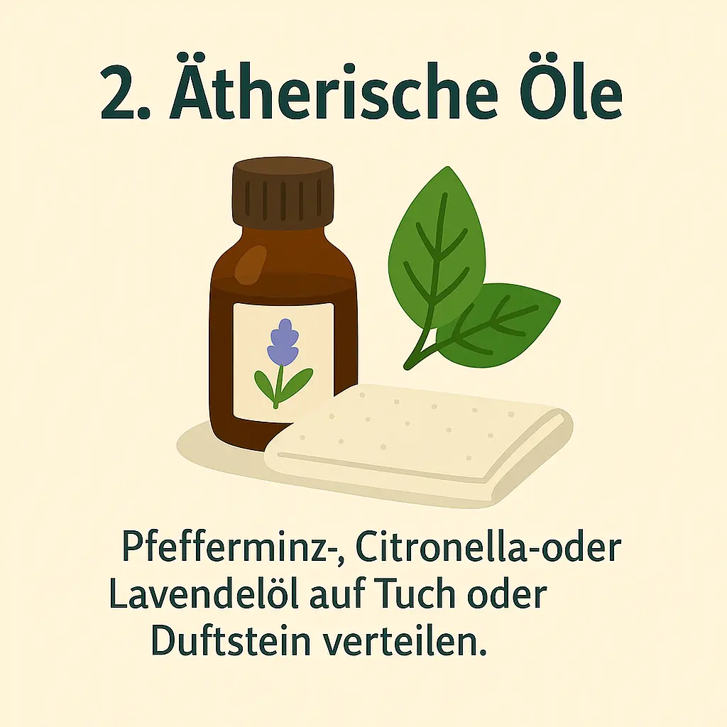 Fläschchen mit Lavendelöl und Blättern auf hellem Hintergrund.