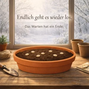 Aussaaterde mit Samen im Januar als Symbol für den Beginn der Gartensaison